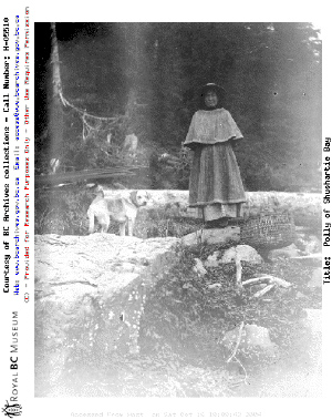 h_05510.gif (117552 bytes)